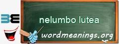 WordMeaning blackboard for nelumbo lutea